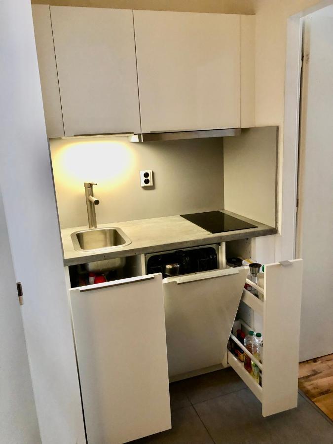 Karlin Cozy Studio Прага Екстер'єр фото